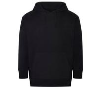 Ecologie - Sweat à capuche CRATER - Adulte (RW9030)