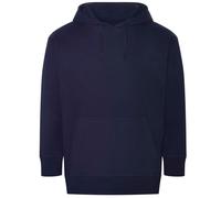 Ecologie - Sweat à capuche CRATER - Adulte (RW9030)
