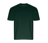 Ecologie - T-shirt ARROW - Adulte (RW9040)