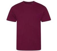 Ecologie - T-shirt Cascades biologique - Homme (2XL) (Bordeaux) - UTPC3190 Bordeaux