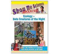 Ecology: Bats Creatures of The Night
