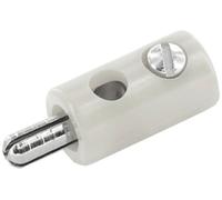 econ connect HOS25WS Connecteur rond miniature mâle, droit Ø de la broche: 2.5 mm blanc Bulk