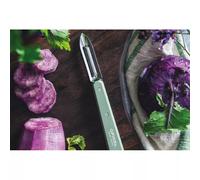 Econome N°115 OPINEL sauge