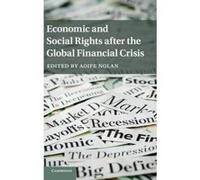Economic And Social Rights After The Global Financial Crisis