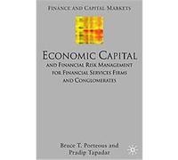 Economic Capital and Financial Risk Management for Financial Servicees Firms and Conglomerates, Finance and Capital Markets Series Bruce Porteous, Pradip Tapadar (Auteur)