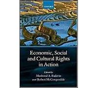 Economic, Social And Cultural Rights In Action