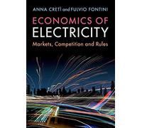Economics of Electricity: Markets, Competition and Rules