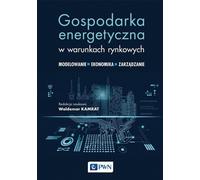 Économie de l'énergie dans les conditions du marché - Ouvrage collectif (Literatur auf Polnisch)