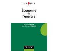 Economie de l'énergie - Sophie Méritet - Dunod - broché - Etude