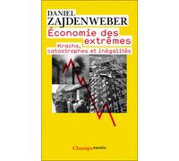 Économie des extremes Krachs, catastrophes et inégalités - Daniel Zajdenweber - Flammarion - Poche - Essai