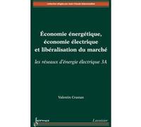 Économie énergétique, économie électrique et libéralisation du marché : les réseaux d'énergie électrique 3A Valentin Crastan (Auteur)