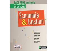 Economie-Gestion 2e/1re/Tle Bac Pro Industriels