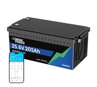 EconomiPower Batterie au lithium LiFePO4 24V 200Ah - BMS 200A intégré - Cellules de phosphate de fer lithié) - 5120Wh - Pour camping-car, bateau, système solaire et plus encore