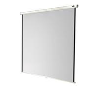 Economy Manual Screen - Ecran de projection - montable au plafond, montable sur mur - 111" (283 cm) - 1:1