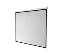Economy Manual Screen - Ecran de projection - montable au plafond, montable sur mur - 133" (339 cm) - 1:1