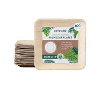 ECOPICNIC Lot de 100 assiettes en feuille de palmier - 20 x 20 cm - Assiettes carrées compostables jetables, durables - Pour barbecues, pique-niques et fêtes d'anniversaire