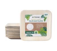 ECOPICNIC Lot de 100 assiettes en feuille de palmier - 26 x 26 cm - Assiettes carrées compostables jetables, durables - Pour barbecues, pique-niques et fêtes d'anniversaire