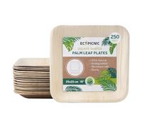 ECOPICNIC Lot de 250 assiettes carrées compostables jetables en feuille de palmier - 25 x 25 cm - Vaisselle jetable durable pour barbecues, pique-niques et fêtes d'anniversaire
