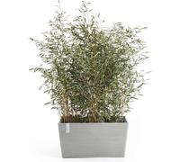 Ecopots Paris Blanc-Gris - L 80 x T 42 x H 38 cm (100 litres)