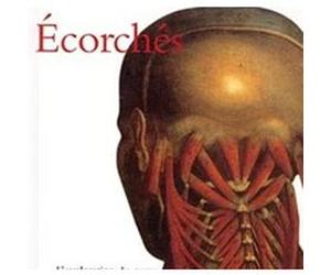 Écorchés Magali Vene (Auteur)