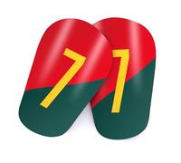 Ecoret-Pro 2 Pièces Mini Protege Tibia Foot, Protège Tibias de Football pour Enfants, Mini Protège-Tibias Légers pour Le Football pour Adolescents Adultes Garçons Filles (Rouge-Vert 7, S-15 * 7.5CM)