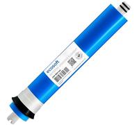 Ecosoft Filtre à sédiments 100 microns - Préfiltre grossier haute capacité pour eau avec saleté visible - Cartouche de 25,4 cm compatible - Usage domestique et professionnel