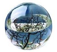 Ecosphere Boule avec crevettes KaRoFoilFix