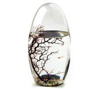 EcoSphere - Mini aquarium de la NASA Space Exploration - Fabriqué à la main - Ecosystème fermé avec crevettes, fabriqué en Allemagne (13 cm ovale)