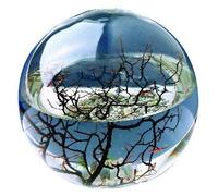 EcoSphere - Mini aquarium de la recherche spatiale de la NASA - écosystème fermé artisanal avec crevettes - Fabriqué en Allemagne (boule de 10 cm)