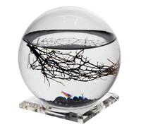 EcoSphere - Mini aquarium issu de la recherche spatiale de la NASA - écosystème fermé et fabriqué à la main avec crevettes - Fabriqué en Allemagne (boule de 13 cm)
