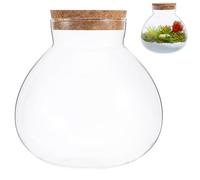 Écosystème Décoratif en Bocal Rond en Verre avec Bouchon de Liège