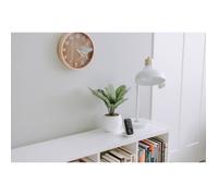 Ecoute bébé Audio DECT - MOTOROLA - PIP11 - Fonction veilleuse - Communication Bidirectionnelle - portée 300m