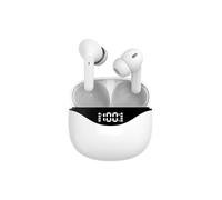 Ecouteurs ANC Bluetooth - BLP4955-112 - BLAUPUNKT