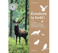 Ecoutons la forêt !