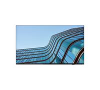 Lenovo Moniteur ThinkVision E65 LFD 65" (163,8 cm) 4K UHD 3840×2160 HDR LCD Noir