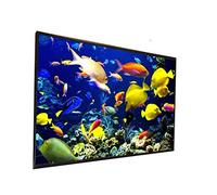 Écran de projecteur en Plein air 150 200 Pouces Matériau de Tissu Blanc de 300 Pouces 180 250 Pouces en Option 16: 9/4: 3 pour Proyector LED(200 inch)