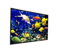 Écran de projecteur en Plein air 150 200 Pouces Matériau de Tissu Blanc de 300 Pouces 180 250 Pouces en Option 16: 9/4: 3 pour Proyector LED(120 inch)