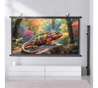 Écran De Projection 4K HD, AntiPlis Écran De Cinéma Manuel Enroulable, 30" 40" 50" 60" 72" Toile Videoprojecteur Portable, Pour Bureau, Maison, École, Conférence, Théâtre, Fête(40in)