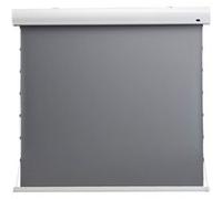 Ecran de projection celexon Home Cinéma motorisé tensionné à Haut Contraste 298 x 168 cm 135 - Dynamic Slate ALR G
