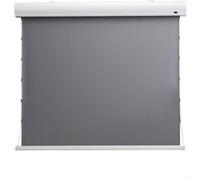 Ecran de projection celexon Home Cinéma motorisé tensionné Haut Contraste 243 x 136 cm 110 - Dynamic Slate ALR G