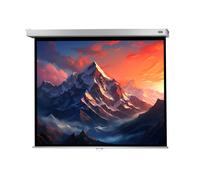 Ecran de projection celexon Manuel PRO PLUS 120 x 120cm