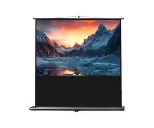 Ecran de projection celexon Ultramobile PRO 120 x 75 cm