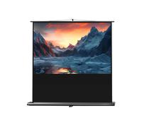 Ecran de projection celexon Ultramobile PRO 160 x 100 cm