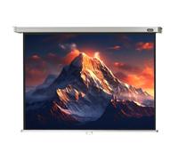 celexon Écran de projection manuel PRO 200 x 150 cm – 98"