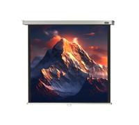 celexon Écran de projection manuel PRO 220 x 220 cm - 122"
