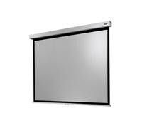 celexon écran de projection manuel Professionnel Plus 280 x 210 cm - 138"