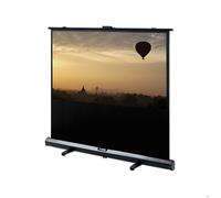 DELUXX Écran de projection mobile Expert Portable Self-Stand-X 4:3 Blanc Mat 142,2 x 106,7 cm