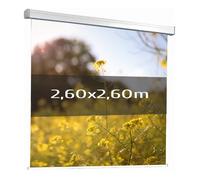 Ecran de projection motorisé 2,60x2,60m 1:1
