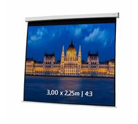Ecran de projection motorisé 3,00 x 2,25m - Format 4:3
