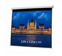Ecran de projection motorisé 3,00x2,25m 4:3